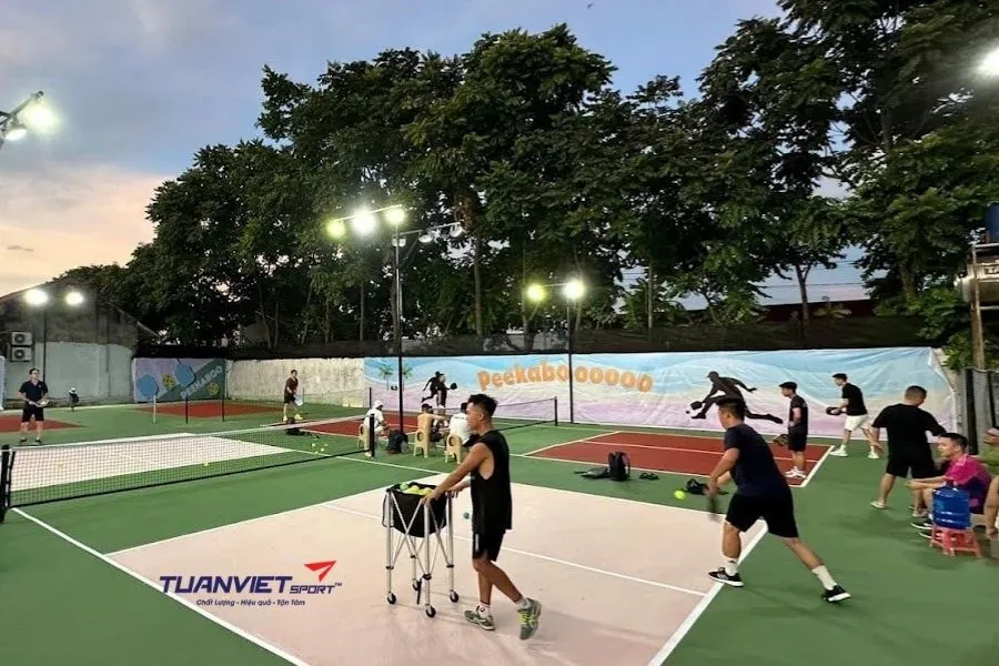 Sân Pickleball Peekaboo - sân pickleball thị xã Sơn Tây