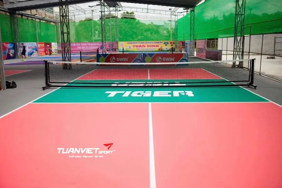 Sân Pickleball Tiger - Sân pickleball tỉnh Hải Dương