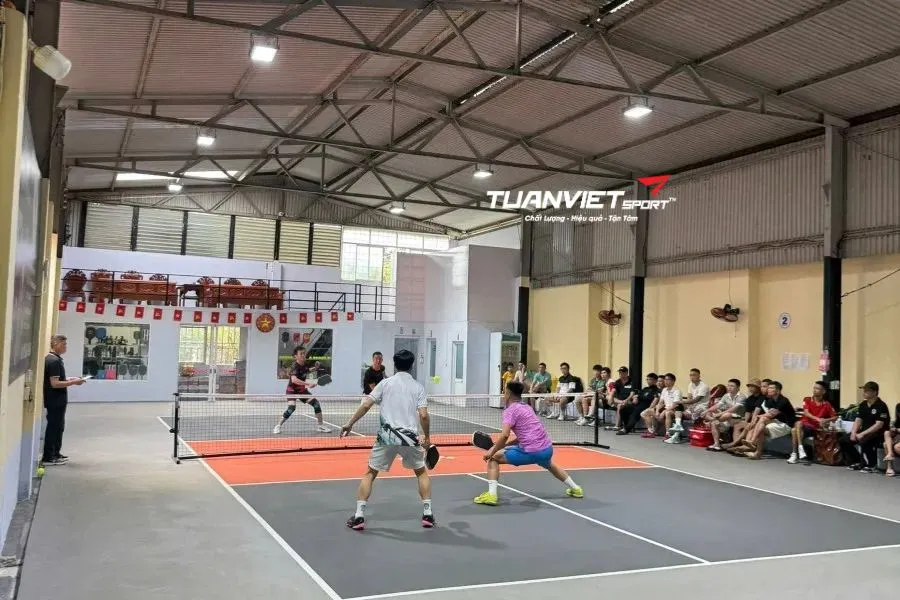 S&acirc;n Pickleball Mouse - S&acirc;n pickleball Th&agrave;nh phố Hải Ph&ograve;ng