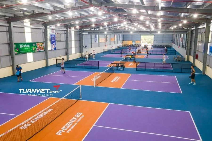 S&acirc;n Pickleball Phoenix 8S - S&acirc;n pickleball tỉnh B&agrave; Rịa - Vũng T&agrave;u
