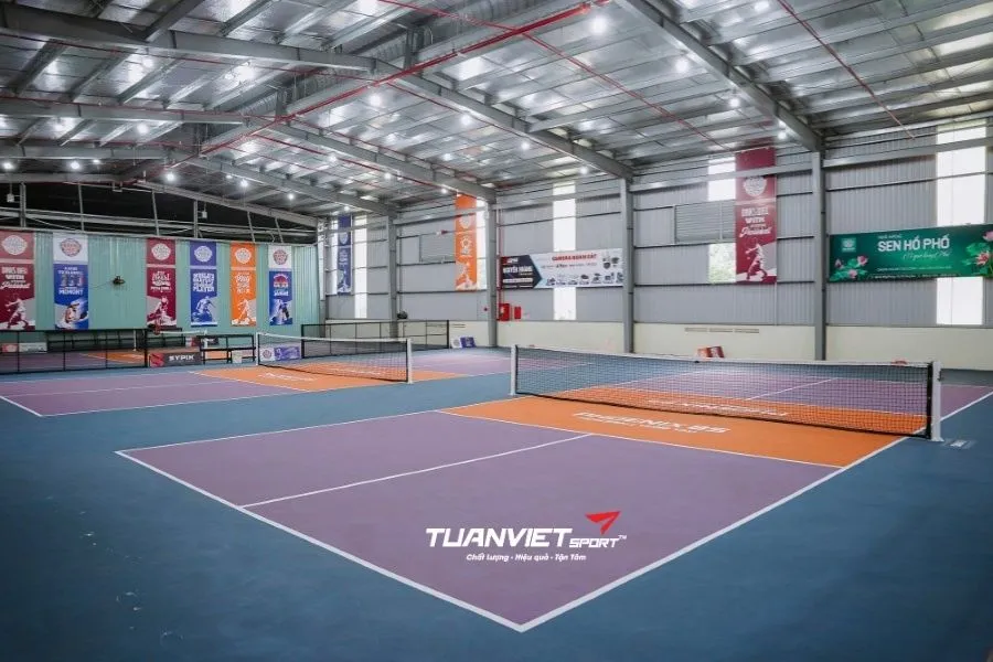 S&acirc;n Pickleball Phoenix 8S - S&acirc;n pickleball tỉnh B&agrave; Rịa - Vũng T&agrave;u