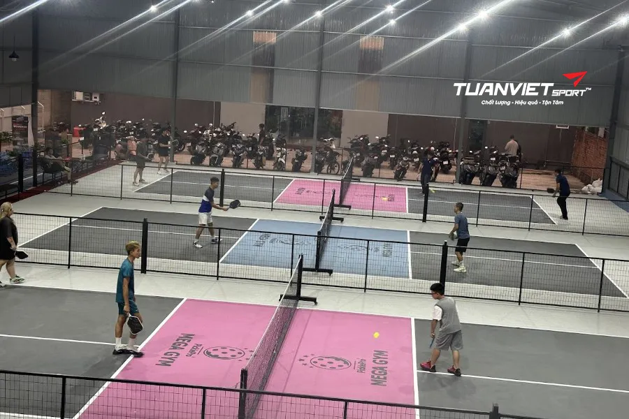 Sân Pickleball Mega Gym - Sân pickleball Quận 8