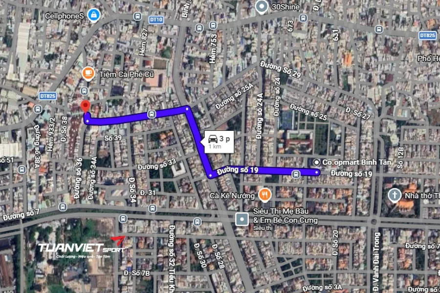 S&acirc;n Pickleball The Sea Sports - S&acirc;n pickleball quận B&igrave;nh T&acirc;n