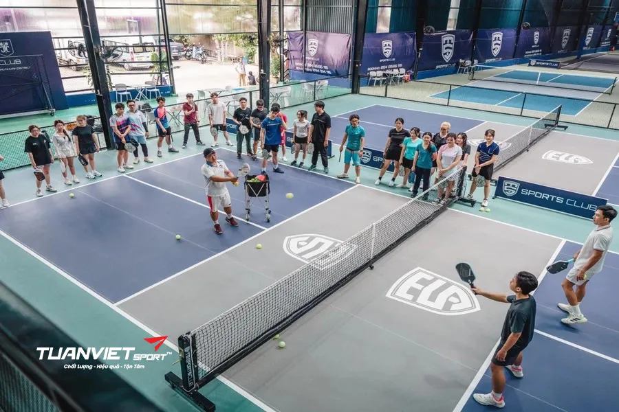 S&acirc;n Pickleball TS Sports Club - S&acirc;n pickleball Quận Ph&uacute; Nhuận
