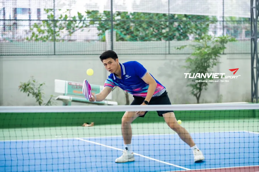 Sân Pickleball Quang Thắng - Sân pickleball Quận 12