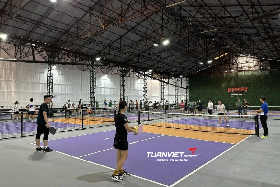 Sân Pickleball D'Lucky - Quận 4
