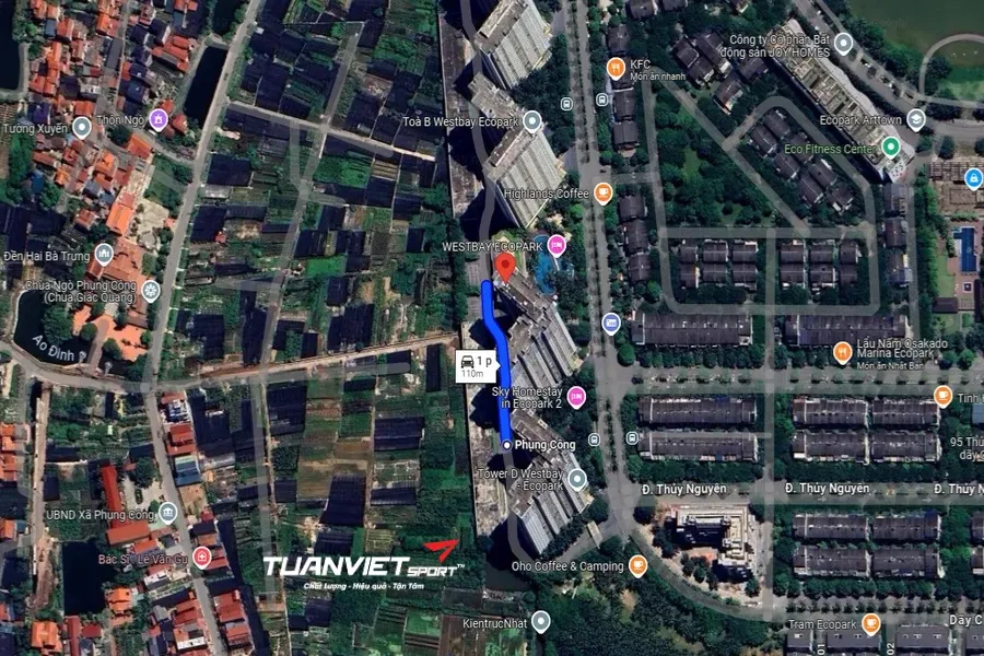 S&acirc;n Pickleball Ecopark - S&acirc;n pickleball tỉnh Hưng Y&ecirc;n