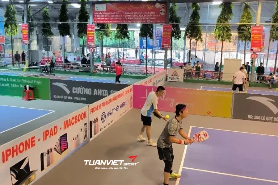 S&acirc;n Pickleball Ho&agrave;ng H&agrave; - S&acirc;n pickleball tỉnh Th&aacute;i B&igrave;nh