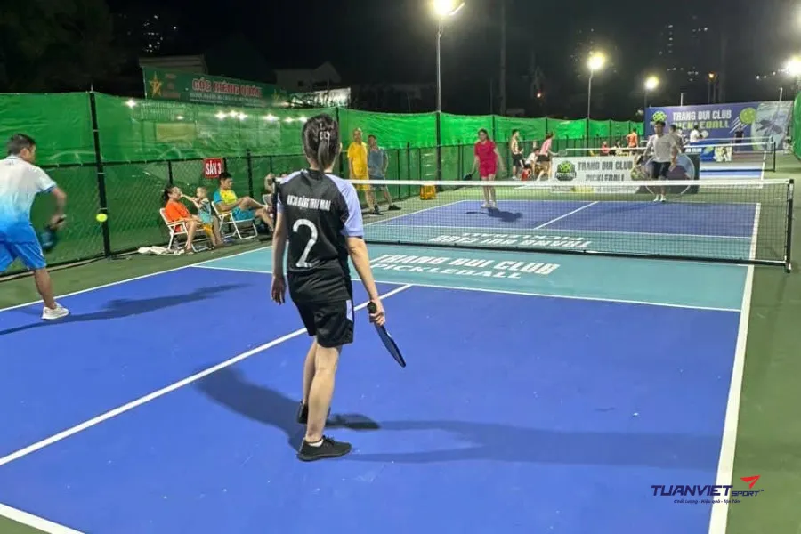 Sân Pickleball Trang Bùi - sân pickleball tỉnh Nghệ An