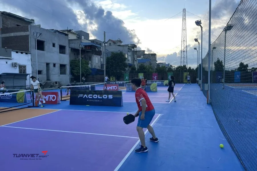 S&acirc;n Pickleball trung t&acirc;m Nam Định - S&acirc;n pickleball tỉnh Nam Định