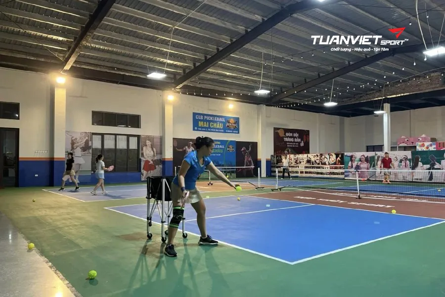 S&acirc;n Pickleball Mai Ch&acirc;u - S&acirc;n pickleball tỉnh H&ograve;a B&igrave;nh