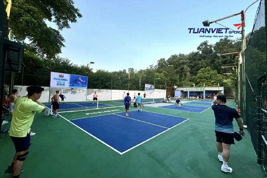 Sân Pickleball Việt Hà - Sân pickleball tỉnh Vĩnh Phúc