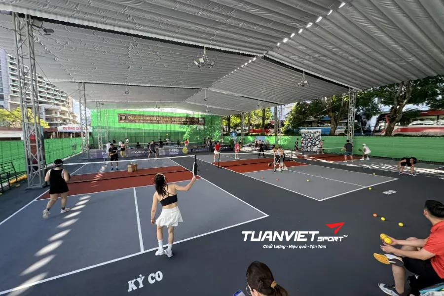 Sân Pickleball Công Đoàn Hạ Long - Sân Pickleball tỉnh Quảng Ninh