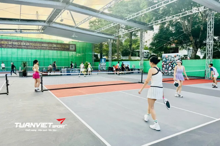 Sân Pickleball Phoenix Legend Court - Sân pickleball tỉnh Quảng Ninh