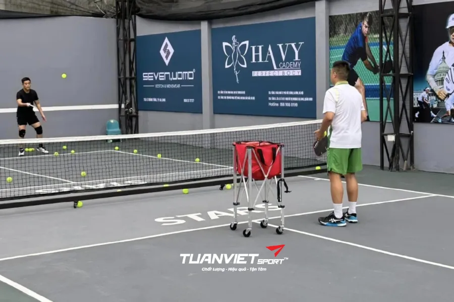 Sân Pickleball Stars - Sân Pickleball tỉnh Quảng Ninh