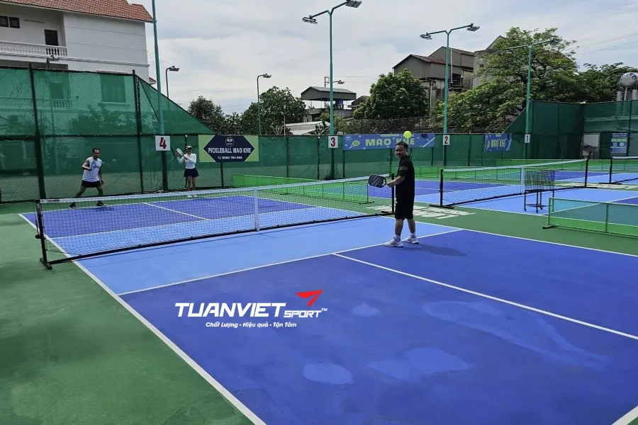 sân pickleball Tỉnh Quảng Ninh - Long Hải Mạo Khê