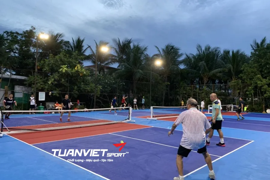 sân pickleball Tỉnh Quảng Bình - Quảng Bình