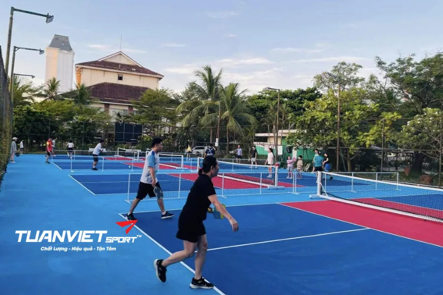 sân pickleball Tỉnh Quảng Bình - Quảng Bình