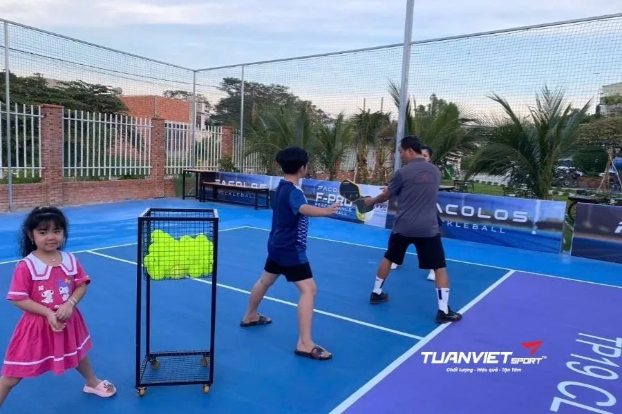S&acirc;n Pickleball TP19 G&ograve; Đen - S&acirc;n pickleball tỉnh Long An