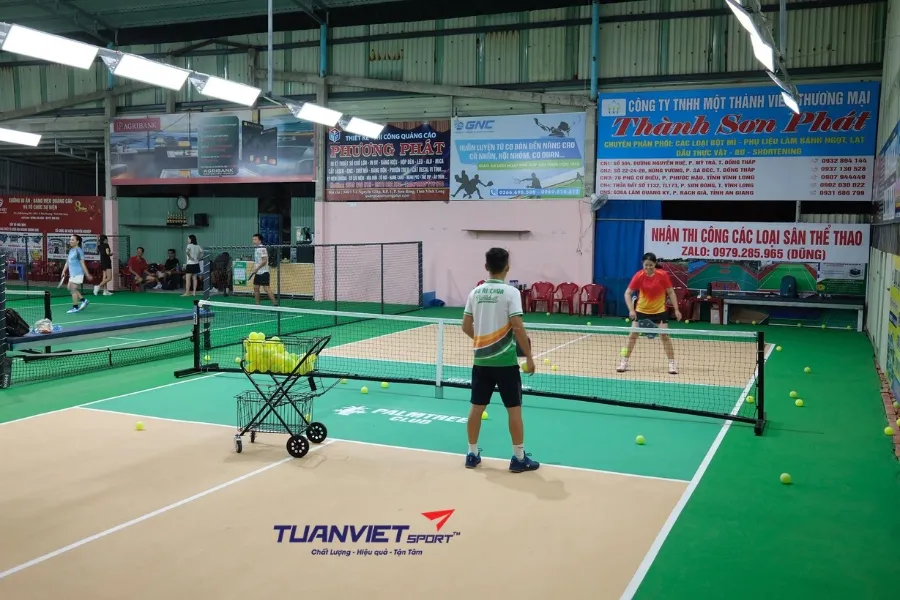 Sân Pickleball PalmTree Club - Sân pickleball Tỉnh Bến Tre