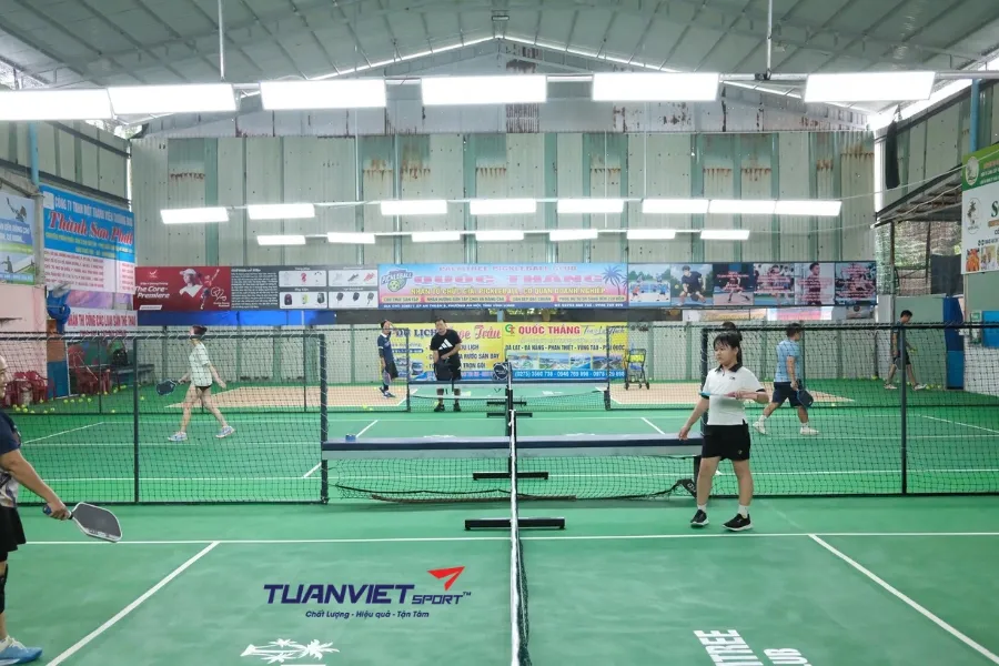 Sân Pickleball PalmTree Club - Sân pickleball Tỉnh Bến Tre