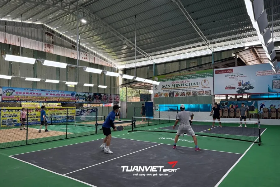 Sân Pickleball PalmTree Club - Sân pickleball Tỉnh Bến Tre