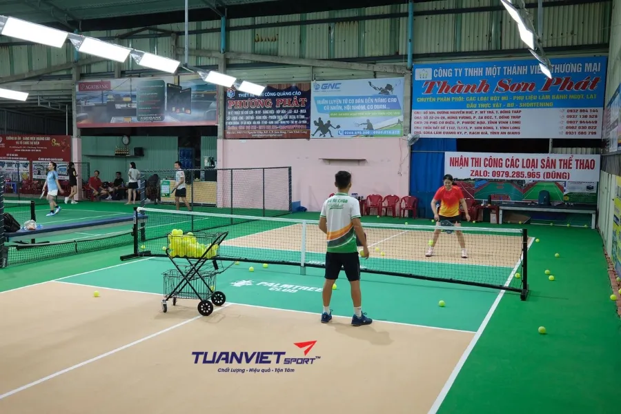 Sân Pickleball PalmTree Club - Sân pickleball Tỉnh Bến Tre