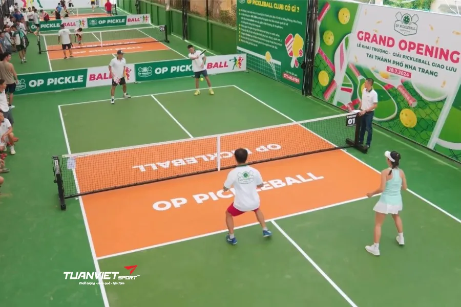 quản lý sân pickleball