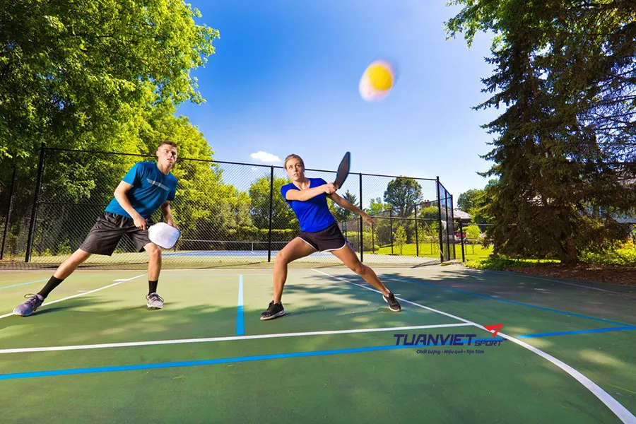 vòng phản hồi luyện tập