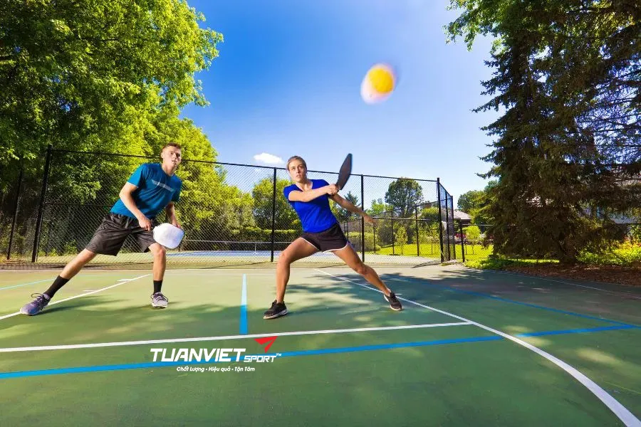 Kinh doanh dụng cụ Pickleball: Điểm cộng lợi nhuận mà bạn chưa từng nghĩ đến