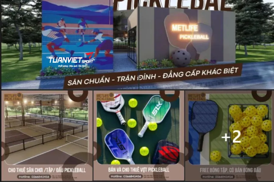 Mô hình kinh doanh kết hợp sân chơi – bán dụng cụ Pickleball: Case study thành công tại Việt Nam
