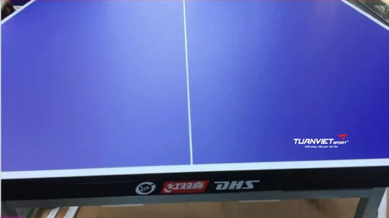 B&agrave;n b&oacute;ng b&agrave;n DHS 2023