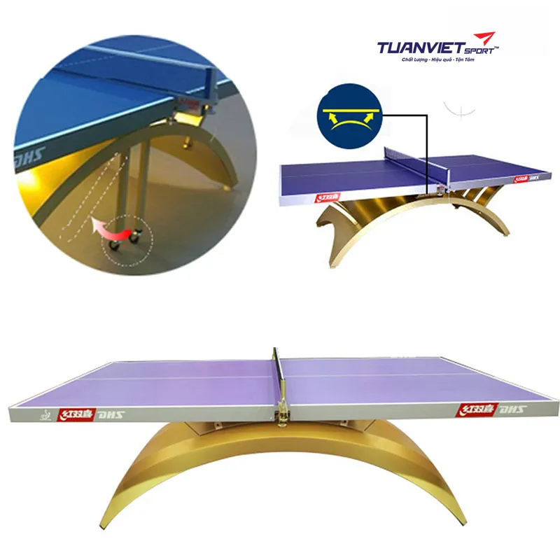 B&agrave;n b&oacute;ng b&agrave;n DHS Gold Rainbow