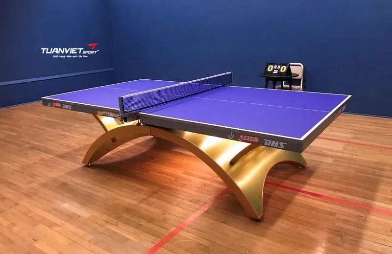 B&agrave;n b&oacute;ng b&agrave;n DHS Gold Rainbow