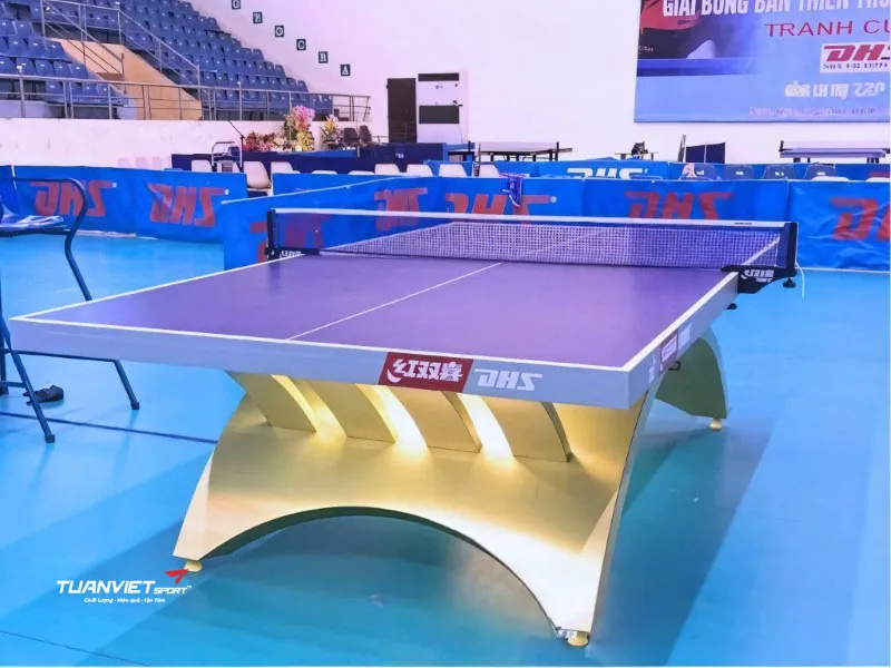 B&agrave;n b&oacute;ng b&agrave;n DHS Gold Rainbow