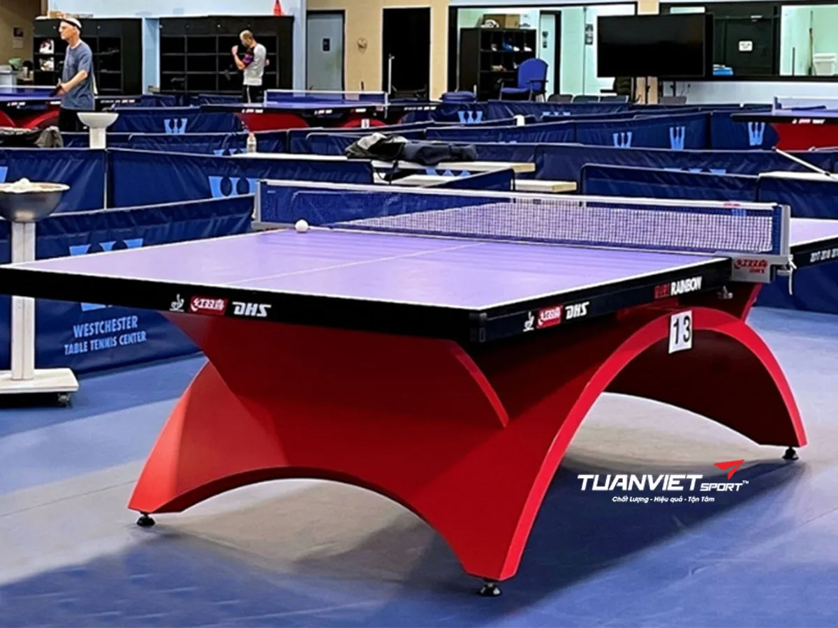 Bàn bóng bàn DHS Rainbow