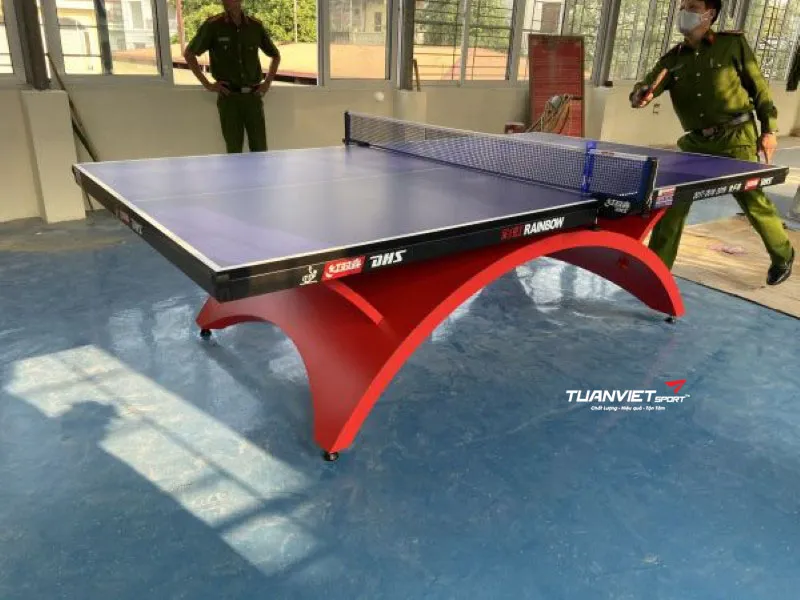 B&agrave;n b&oacute;ng b&agrave;n DHS Rainbow