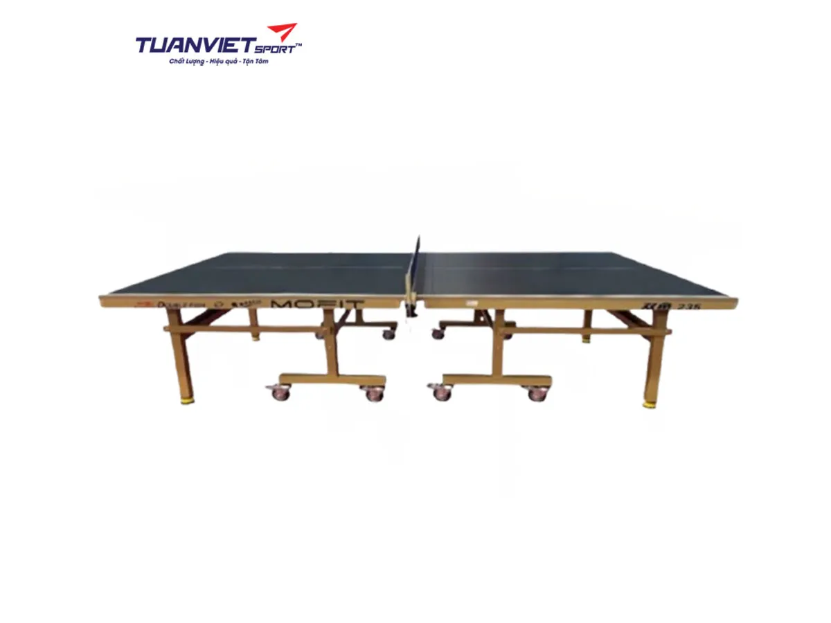 Bàn Bóng Bàn Double Fish DF - 235G