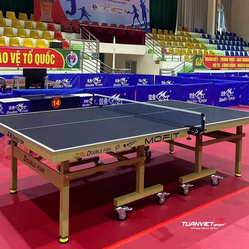 Bàn Bóng Bàn Double Fish DF - 235G