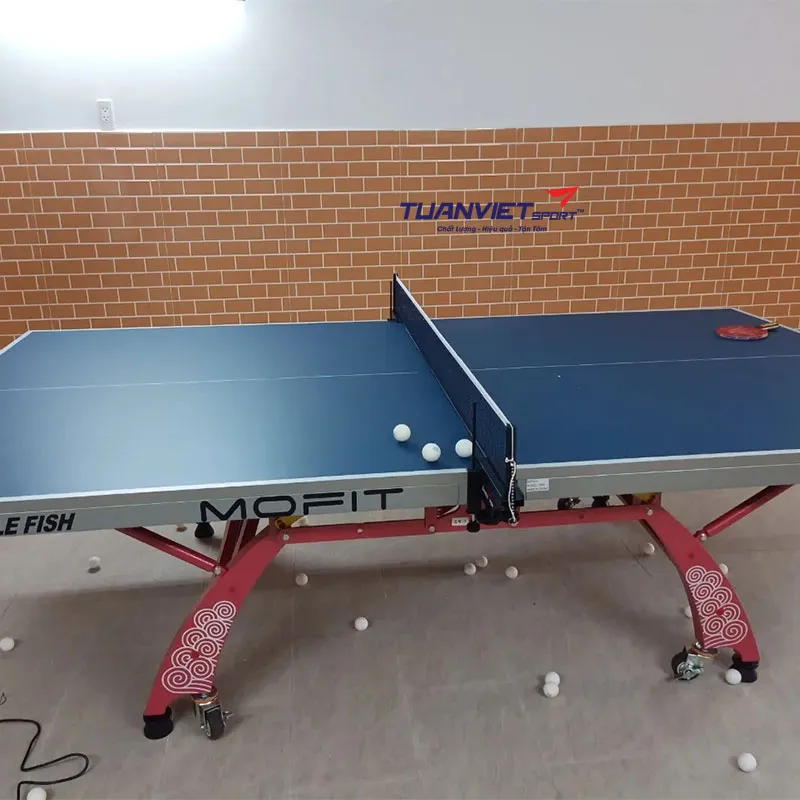 Bàn Bóng Bàn Double Fish DF - 328