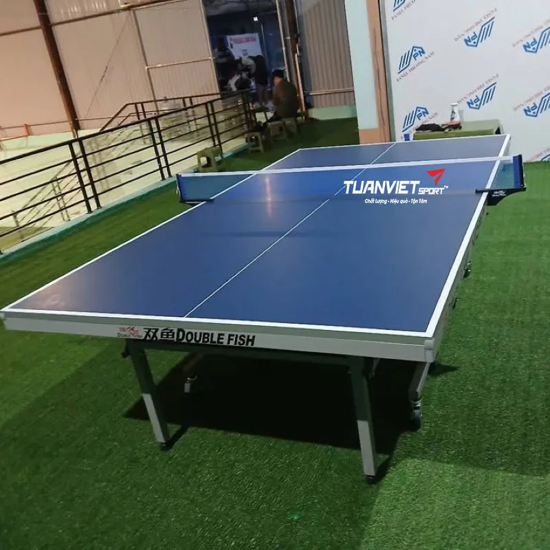 Bàn bóng bàn Double Fish 203M-2