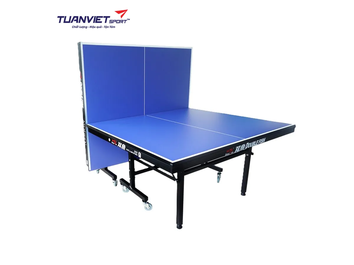 Bàn bóng bàn Double Fish 203M-2