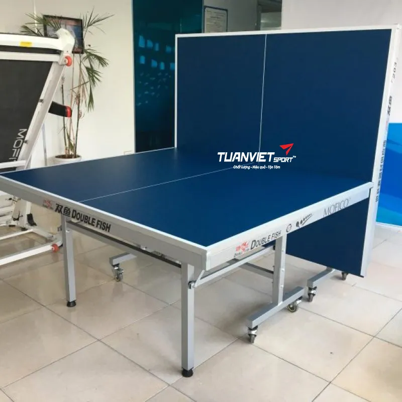 Bàn bóng bàn Double Fish 203M-2