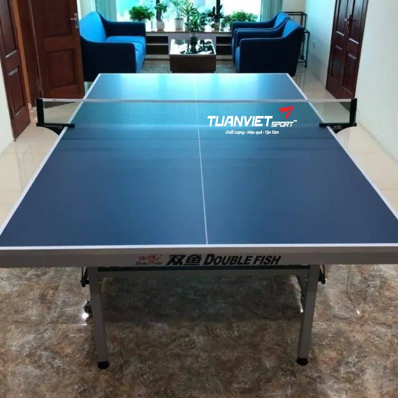 Bàn bóng bàn Double Fish 203M-2