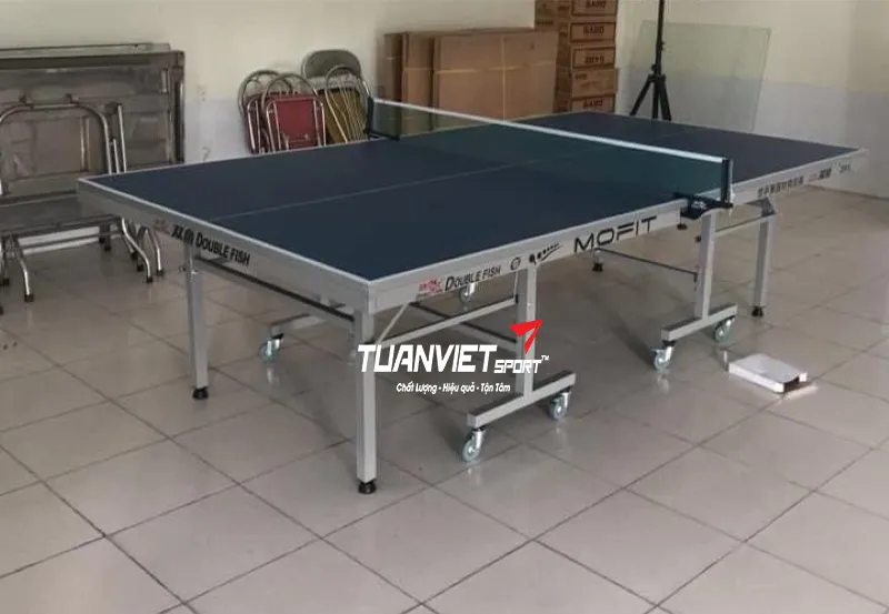 Bàn bóng bàn Double Fish 203M-2