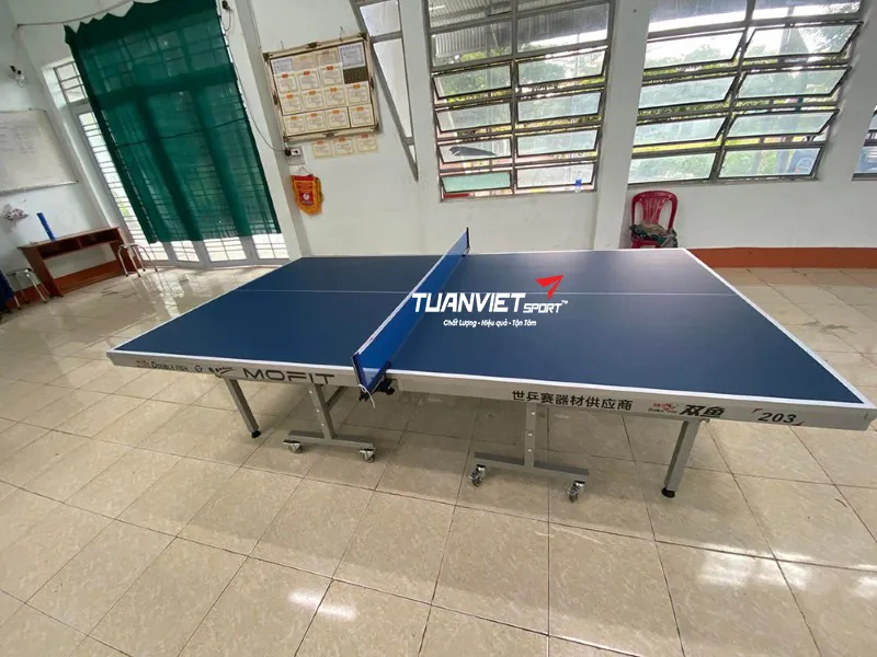 Bàn bóng bàn Double Fish 203M-2