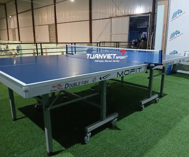 Bàn bóng bàn Double Fish 203M-2