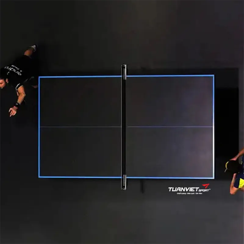 B&agrave;n b&oacute;ng b&agrave;n DF 233 WTT Limited Seagame 31 