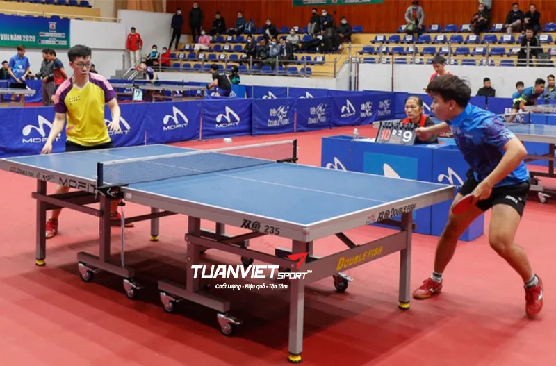 Bàn bóng bàn Double Fish 235