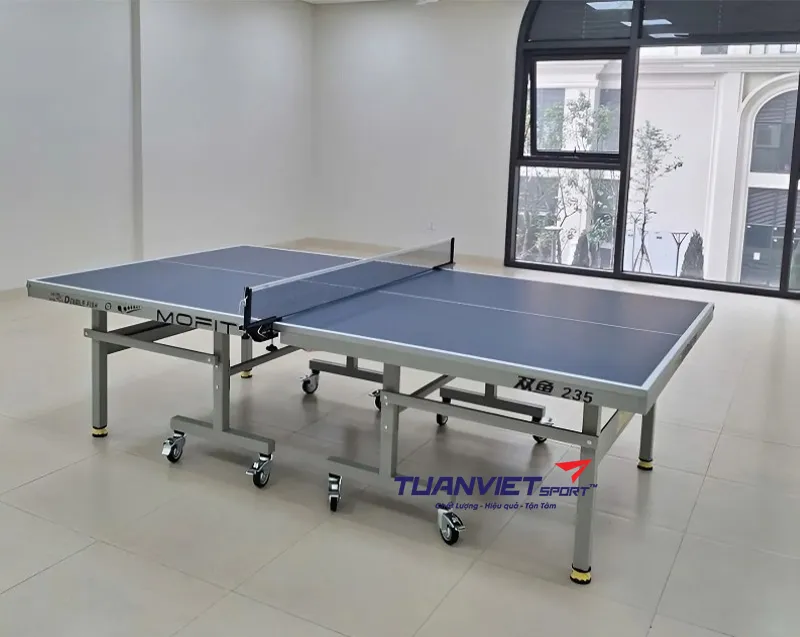 Bàn bóng bàn Double Fish 235